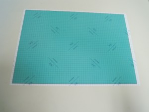 DSCN1005