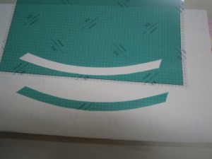 DSCN1007