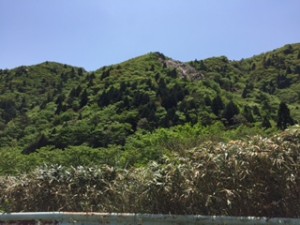 武平峠