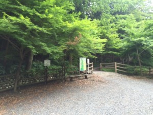 宮妻峡もみじ谷