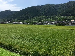 南濃町