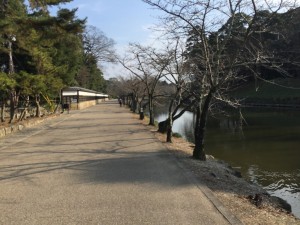 四日市・琵琶湖サイクリング