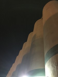 20150304_123008717_iOS