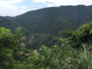 二ノ瀬峠