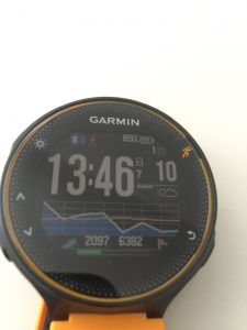 Garmin ForeAthlete 235J