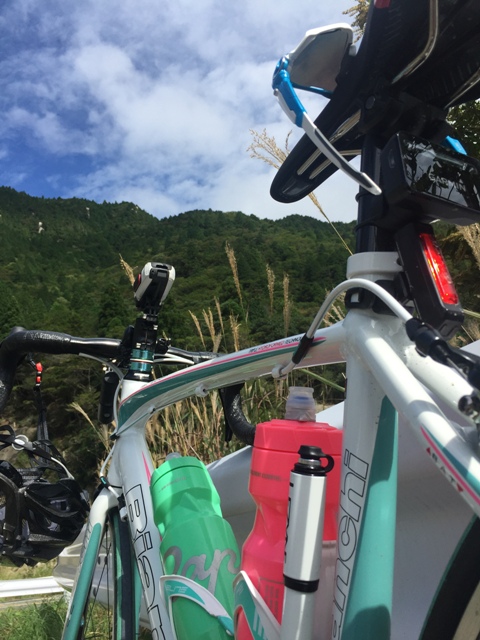 Bianchi IMPULSO